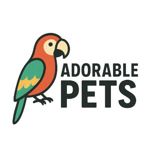 chatgpt image dec 5 2025 08 02 45 am removebg preview