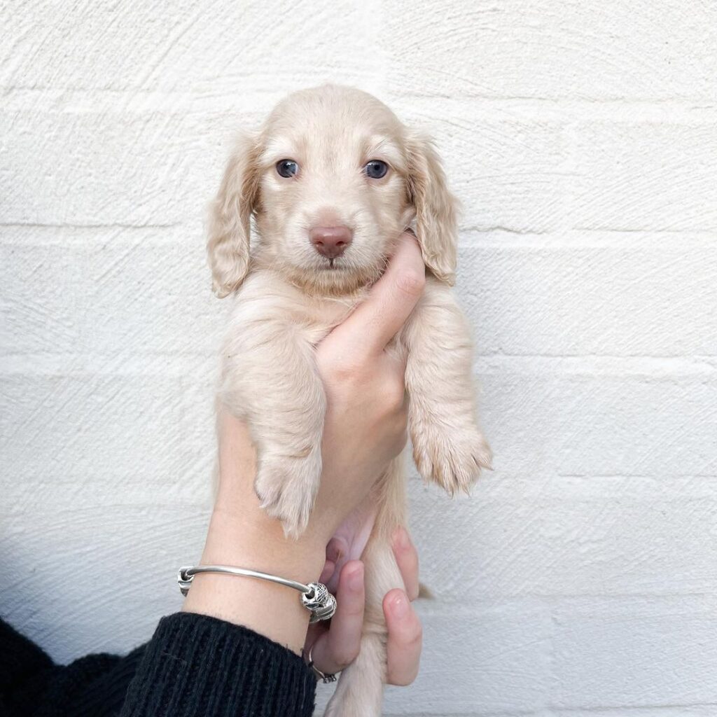 295918941 5343421392450963 1943915630016228354 n