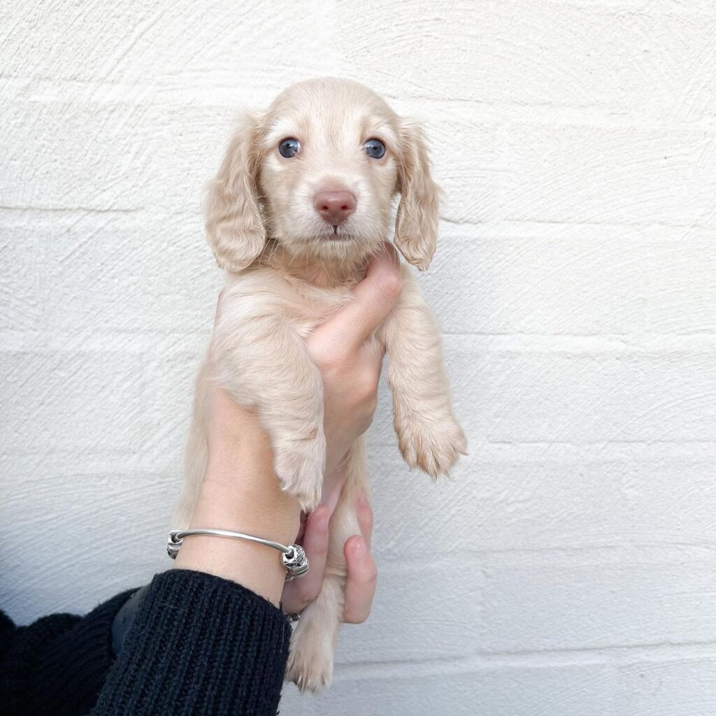 296101170 181432667691641 8386868371259163711 n