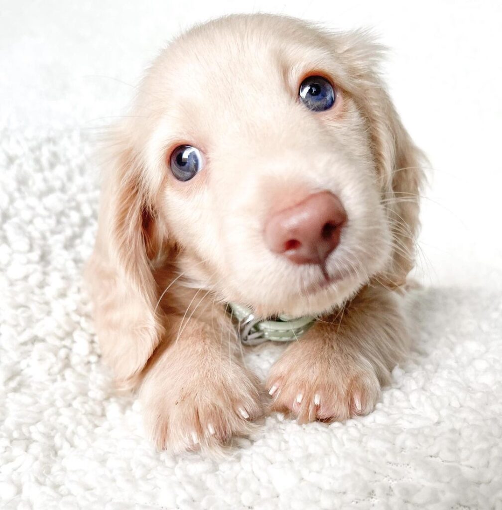 297479296 186203763766346 7026893577335332803 n