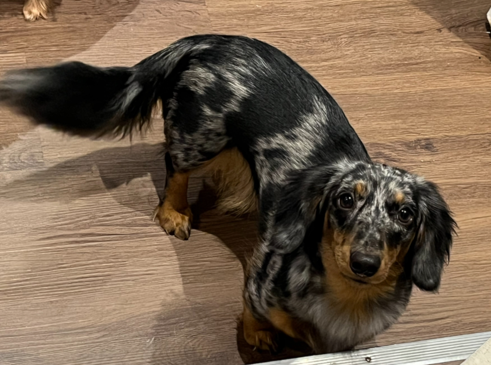 ab1af381 68b4 49d5 8cd0 49273141fc0f