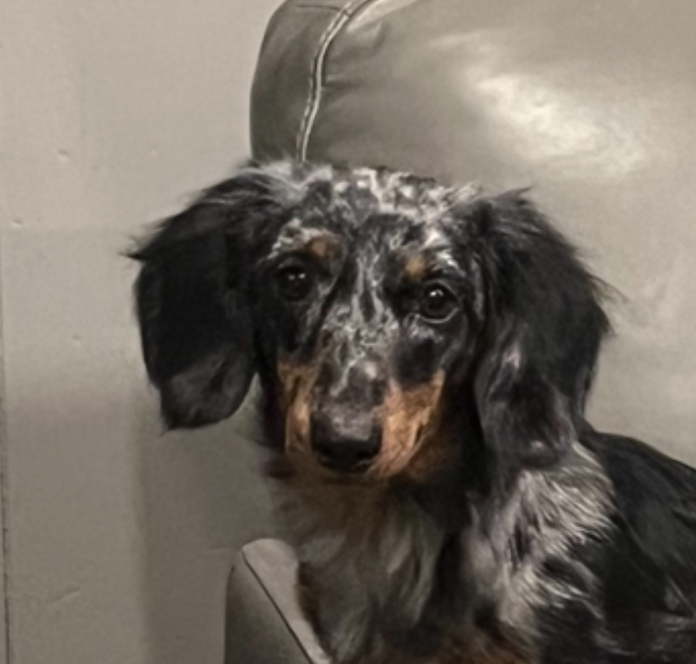 ce22d12e 00a6 42ed aa97 3f0a0beb96c4