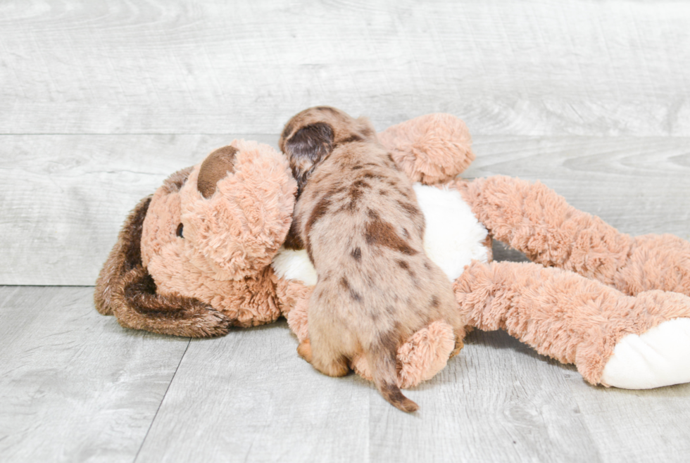 d2b397b9 c32e 481a a50a 208fd6af65df